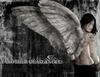 Angel of Darkness